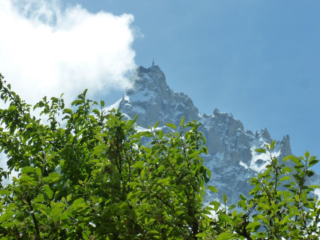 Aiguille Du Midi - Hotel & Restaurant Chamonix Exterior photo